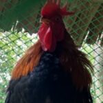 Profile picture of webmaster
