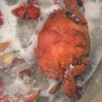 Profile picture of Probinsyano